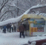 В Самаре во дворе Кирова и Черемшанской на продуктовый киоск рухнуло дерево - 63.Ru