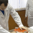 Названа причина крушения Ту-154 над Черным морем - Sama-Samara.Ru
