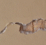 В Самаре из-за трещин в стенах эвакуировали жильцов дома на Степана Разина - АиФ Самара