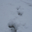 sdc14663 - Samaratoday.ru