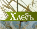 Субботний эфир
