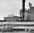 Куриная слепота - Социальная Газета
