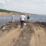 В Тольятти на глазах отдыхающих строительная фирма сбрасывала мусор в Волгу - 63.Ru