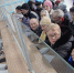 Тройки с бубенцами бегали быстрее... - Социальная Газета