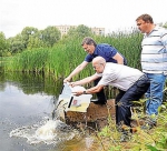 Парк преобразится