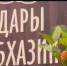 Познакомиться со всем многообразием даров Абхазии можно на выставке «Благословенная Самара» - ГТРК Самара