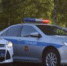 В Самарской области выдают автомобильные номера с кодом «763» - АиФ Самара