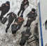 В чем подозревают задержанного бизнесмена Бориса Семина - Волга Ньюс