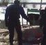 На Вилоновском спуске в Самаре под лед провалилась лошадь - Волга Ньюс