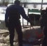 Лошадь провалилась под лед на Волге у Вилоновского спуска - Телерадиокомпания Терра