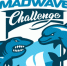 Mad Wave Challenge 2018 в Казани. Итоги - Спортивное Обозрение