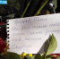 Люди со всего города несут цветы и записки к месту трагедии. Фото: Inside Donetsk - Комсомольская Правда Самара