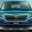 ŠKODA KODIAQ - Sama-Samara.Ru