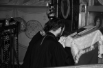 DSC_0090-4