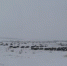 Под Самарой начались военные учения с привлечением большого числа новобранцев - Samaratoday.ru