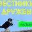 вестники дружбы картинка.jpg - Портал Все мы - Россия!