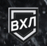 Новички ВХЛ в сезоне 2019/20. - Спортивное Обозрение