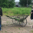 Районные чиновники встречали заморских гостей при параде. Местные жители особо не стремились пообщаться с бурами. Фото: Мария БЕРК - Комсомольская Правда Самара
