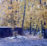 Самарцы сняли, как на территории лесопарка устанавливают гаражи. Фото: соцсети - Комсомольская Правда Самара