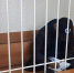 ФСБ нашла в Самарской области спонсора террористов - Волжская коммуна
