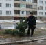 В Новокуйбышевске местный житель спилил елку около соседнего дома - Волга Ньюс