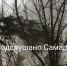 Праздник нас покидает. Житель Самарской области выбросил новогоднюю ель из окна, а она не долетела - ГТРК Самара