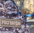 В Волжском районе сотрудники Росгвардии предотвратили кражу дорогих золотых украшений - Росгвардия