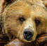 A7EE1674-7CD5-470D-A75D-CC37BBF4C2D4.jpeg - Губерния ТВ