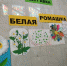 «Белая ромашка» в детском санаторно - курортном отделении. - Противотуберкулезный диспансер