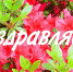 Поздравляем с днем рождения Марка Когана! - Портал Все мы - Россия!