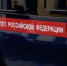 Информация о нападении собак на детей будет проверена в рамках ранее возбужденного уголовного дела - Следственный комитет