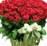 изображение_viber_2020-07-16_07-18-03.jpg - ПГСГА