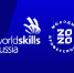 В Самарской области продолжаются отборочные соревнования WorldSkills - Samara.Edu.Ru
