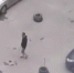 В Тольятти водитель угрожал арматурой мужчине, занявшего его место - ГТРК Самара