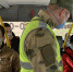 В Самаре автобусы не поедут с места, пока пассажиры не наденут маски - Телерадиокомпания Терра