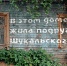 На «заброшках» начала появляться вторая глава стихов о таинственном Шукальском - Самарская Газета