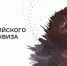 На фестивале "NAUKA 0+" прошел Всероссийский онлайн-квиз - Волга Ньюс