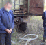 В Самарской области задержали банду похитителей бензина - ГТРК Самара