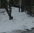 Сплошной каток: жители Сызрани жалуются на нечищенные тротуары - ГТРК Самара