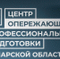 Более 20 тысяч человек приняли участие в мероприятиях Центра опережающей профподготовки в Тольятти - Волга Ньюс