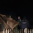 Три человека погибли в ночном пожаре в Самарской области - ГТРК Самара