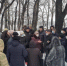 Александр Хинштейн намерен предотвратить вырубку дубовой рощи в поселке Гранный - Единая Россия