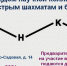 Кубок ДНК (Дом научной Коллаборации) по быстрым шахматам и блицу. - Федерация шахмат