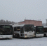 В Самаре пока не будут отменять автобусы до Зубчаниновки - ГТРК Самара