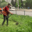 В Самаре раньше обычного приступили в покосу травы - ГТРК Самара