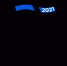 vis-2021-logo.png - Минэкономразвития