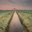 Фото: pixabay.com - Губерния ТВ