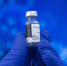 Фото: pixabay - Губерния ТВ