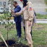 В Самаре ко Дню учителя высадят полторы тысячи яблонь - ГТРК Самара