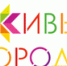 Метафорум «Креативные города» пройдет в Тольятти - НИА Самара